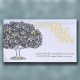 Budget Linen Paper Business Cards (Foil Option Available)